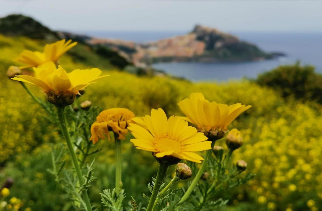 Appartamento Belvedere Castelsardo Exterior foto